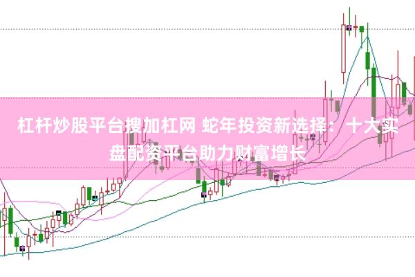 杠杆炒股平台搜加杠网 蛇年投资新选择：十大实盘配资平台助力财富增长